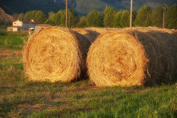 Image showing Hay Bales, Tuscany