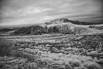 Image showing Tuscan Countryside by Infrared