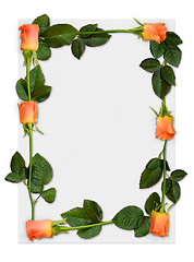 Image showing Rose frame 2