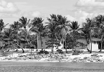 Image showing Small and Coloured Homes on the Coast of Santo Domingo