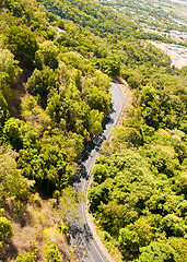 Image showing Rain Forest on the road to Kuranda