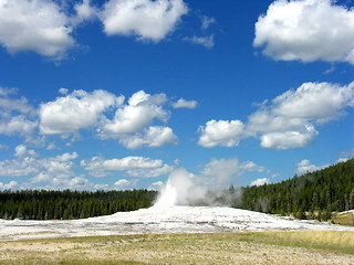 Image showing Old Faithful, Yellowstone National Park