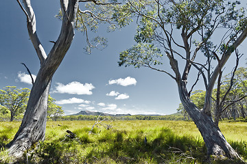 Image showing Tasmania