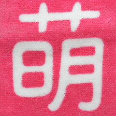 Image showing Kanji on pink cloth