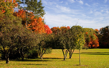 Image showing Autumn in Canada  No2