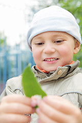 Image showing Little  boy looking at leaf