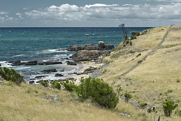 Image showing australia sea