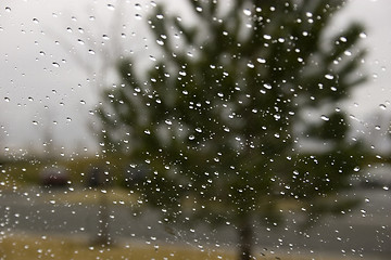 Image showing Rain Drops on the Windshield