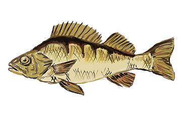 Image showing perch