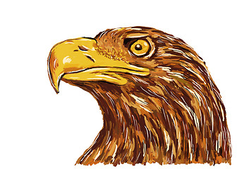 Image showing eagle