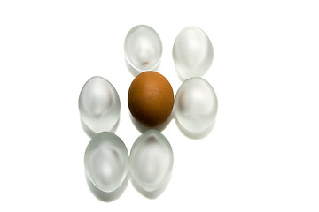 Image showing  	Chicken eggs