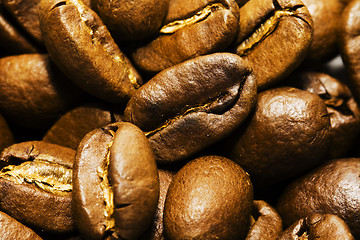 Image showing  Coffee grains