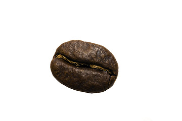 Image showing Coffee grain