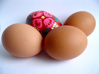 Image showing eggs