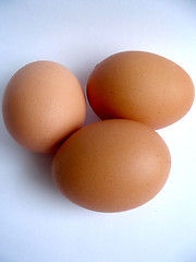 Image showing eggs