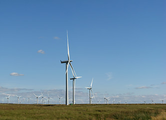 Image showing Wind farm in Scotland, Europe