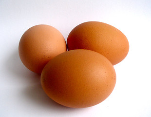 Image showing eggs