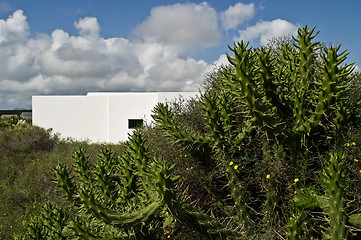 Image showing Suburbs of Teguise