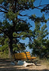 Image showing Lovers bench
