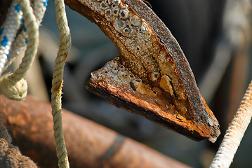 Image showing Rusty anchor claw