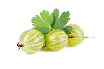 Image showing gooseberries