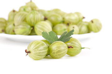 Image showing gooseberries