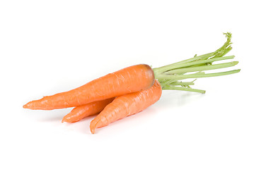 Image showing Carrots