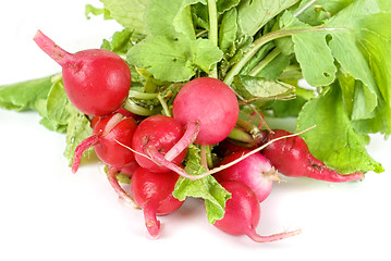 Image showing Fresh radishes