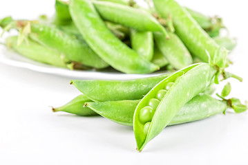 Image showing Ripe pea