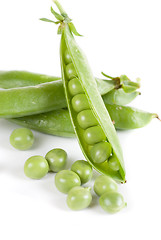 Image showing Ripe pea