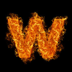 Image showing Fire small letter W