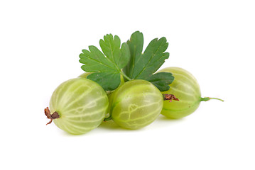 Image showing gooseberries