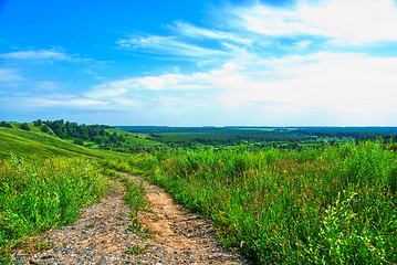 Image showing Summer landscape