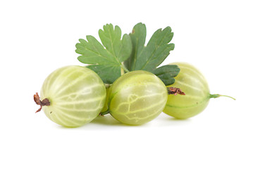 Image showing gooseberries