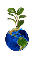 Image showing Earth planet with earth