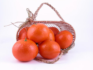 Image showing tangerines