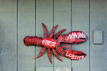 Image showing Maine Lobster