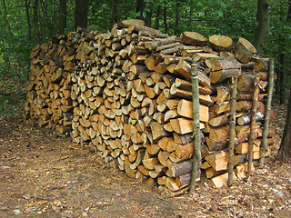 Image showing Woodpile 