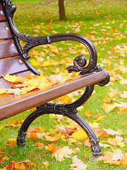 Image showing Park bench in autumn closeup