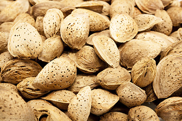 Image showing Almonds background