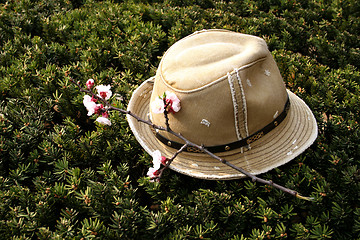 Image showing Hat