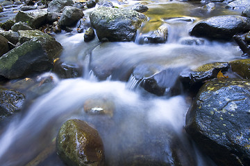 Image showing Cascade falls over mossy rocks