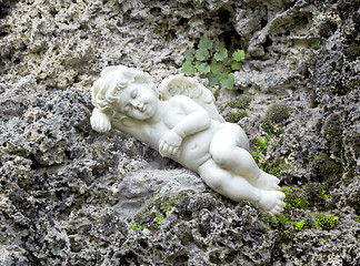 Image showing sleeping angel