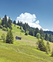 Image showing ettal