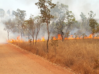 Image showing Bush fire 2