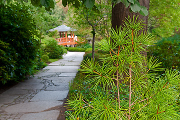 Image showing Japanese garden