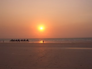 Image showing Camels on Cable Beach