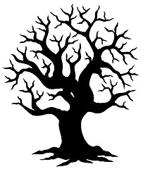 Image showing Hollow tree silhouette