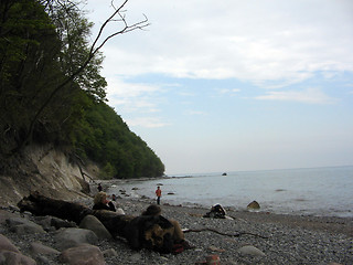 Image showing Cold Beach