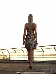 Image showing Blond lady walking over promenade